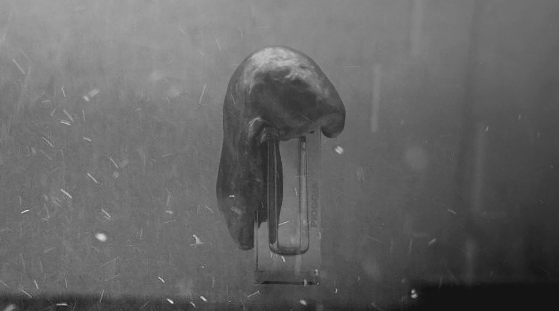 Nebbiaのボトルデザインが一新して9/19より登場。更なる高級感と深い