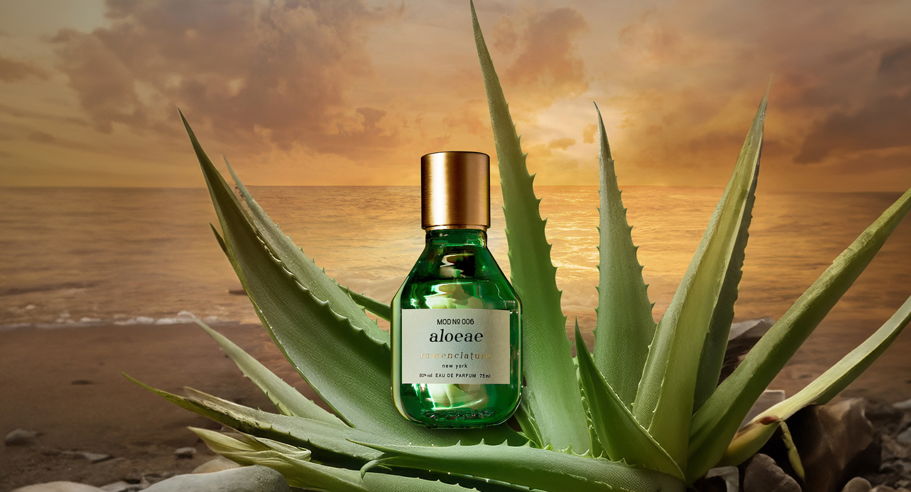 2024-11-11T114711.913.png?v=