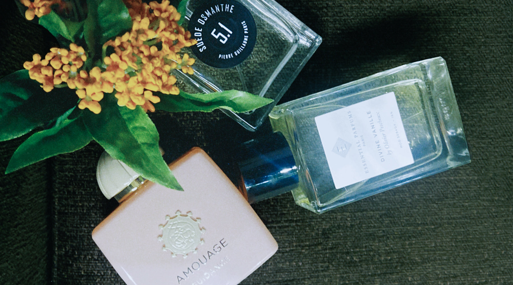 2_notitle_6e49d411-8c09-48b2-