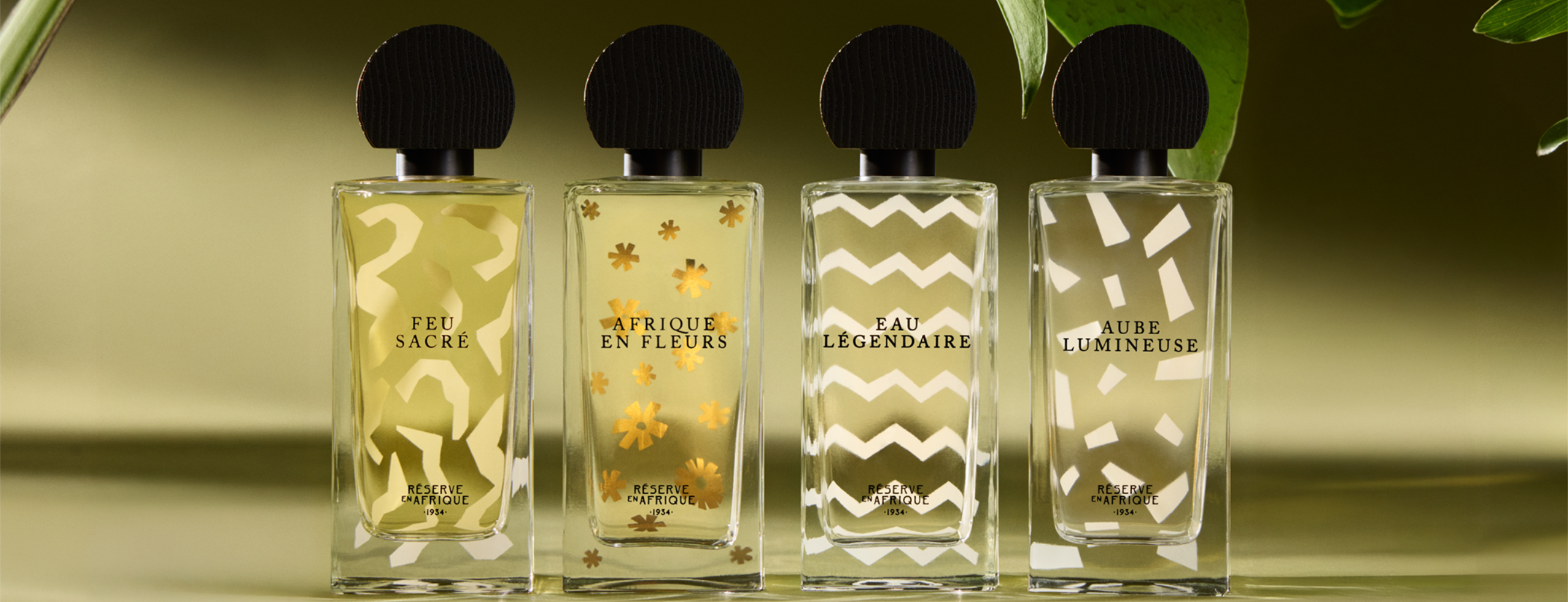 Reserve en Afrique｜NOSE SHOP