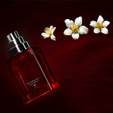 レッド バーニング ナイト