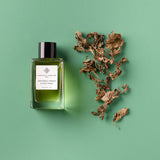 パチョリ マニア