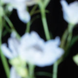 はな 屋根裏予約料 (コース料金別途)