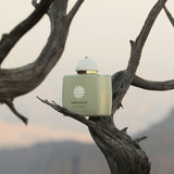 イグジスタンス