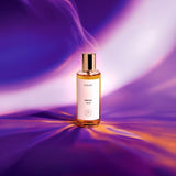 スケッチ|スケッチ