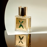 ファン ユア フレームズ X|情熱の火を燃やせ テン