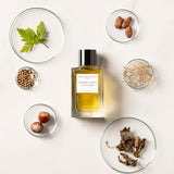 パチョリ マニア