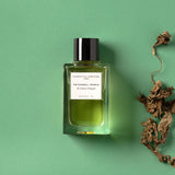 パチョリ マニア