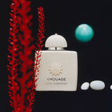 ラブ チュベローズ