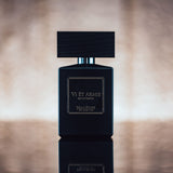 ヴィ エト アルミス|力による現状変更