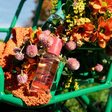 パッシフロール|フルーティな香り