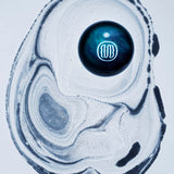 ファントム ドゥ ムール|謎の存在