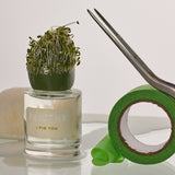 アイフィグユー