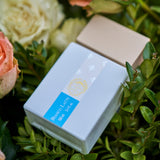 ビアンコ ラテ|ビアンコ ラテ