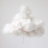 ドーン ウィスパーズ|夜明けの囁き