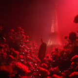 アンサン ノワール|血の告白