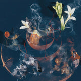 ジョードプル 6AM|インド北西部、ジョードプル 午前6時