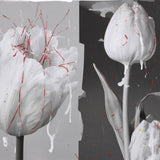 スマンス ドゥース|甘美なる種子