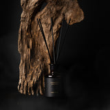 レニ アンド コー