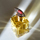 アミグドラ|扁桃体