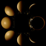 ムーンミルク|月のミルク