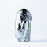 ネビア フィッタ|厚い霧