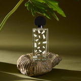 オーブ ルミヌーズ|輝きの夜明け