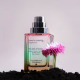 ラヴ イズ カミング チャプターⅡ