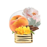 ブレス オブ ザ インフィニット