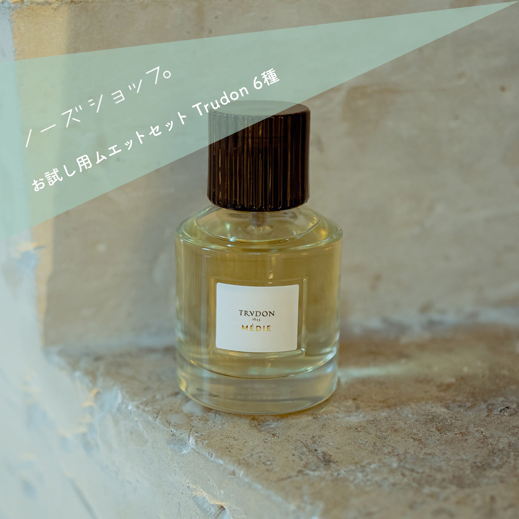 NEW ARRIVAL｜NOSE SHOP