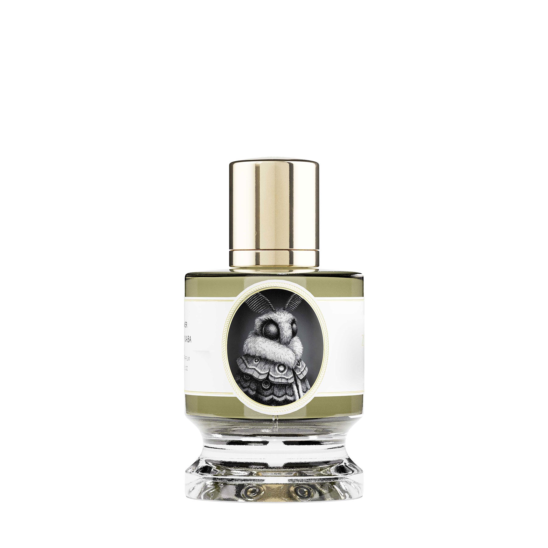 Orchid Mantis by Zoologist | Ministry of Scent