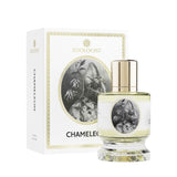 カメレオン|カメレオン