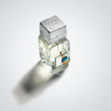 ネットゥーノ|ネプチューン(海王星)