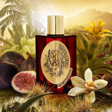 フラストレーション|不満足