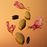 ベルベット トンカ