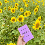 アミアミ|パープル 新しい友だち