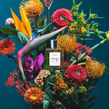 【販売終了品】アニック5