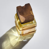 アルバトロス|アホウドリ