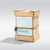 アルバトロス|アホウドリ