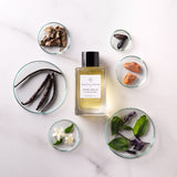 ディビン バニーユ