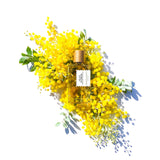 ベルベット スプレンダー