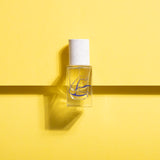 エスプリ ドゥ コントラディクション|反駁の精神