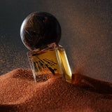 アザライ|ラクダのキャラバン