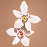 ダーティ バニラ|汚れたバニラ