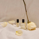 アンティドゥリス カシス|カシス