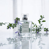 No.4 ボワ ドゥ バランクール|バランクールの森