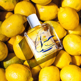 エスプリ ドゥ コントラディクション|反駁の精神