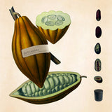 ボッカネーラ|ダークな口