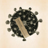 テローニ|南イタリア