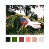 ボイヤーベルデ